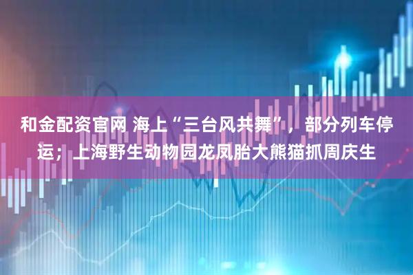 和金配资官网 海上“三台风共舞”，部分列车停运；上海野生动物园龙凤胎大熊猫抓周庆生